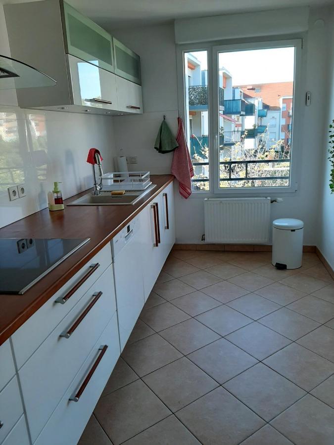 Appartement GITE LA HOUBLONNIÈRE STANDING et CONFORT à COLMAR Extérieur photo